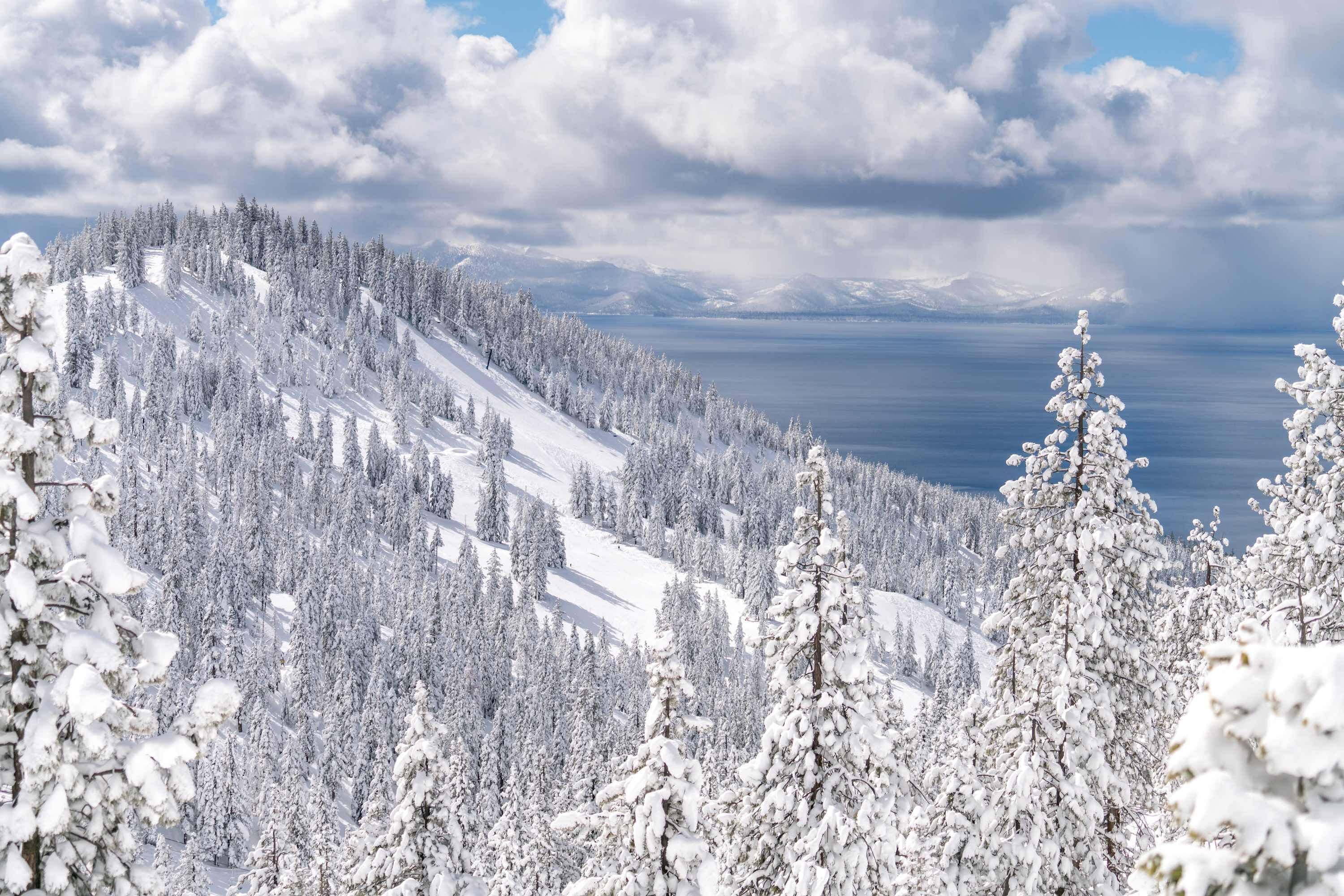 A snow-covered mountain landscape with dense forests and a clear sky.