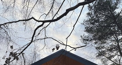 Scandinavian Cabin in Carrboro