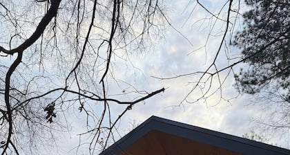 Scandinavian Cabin in Carrboro