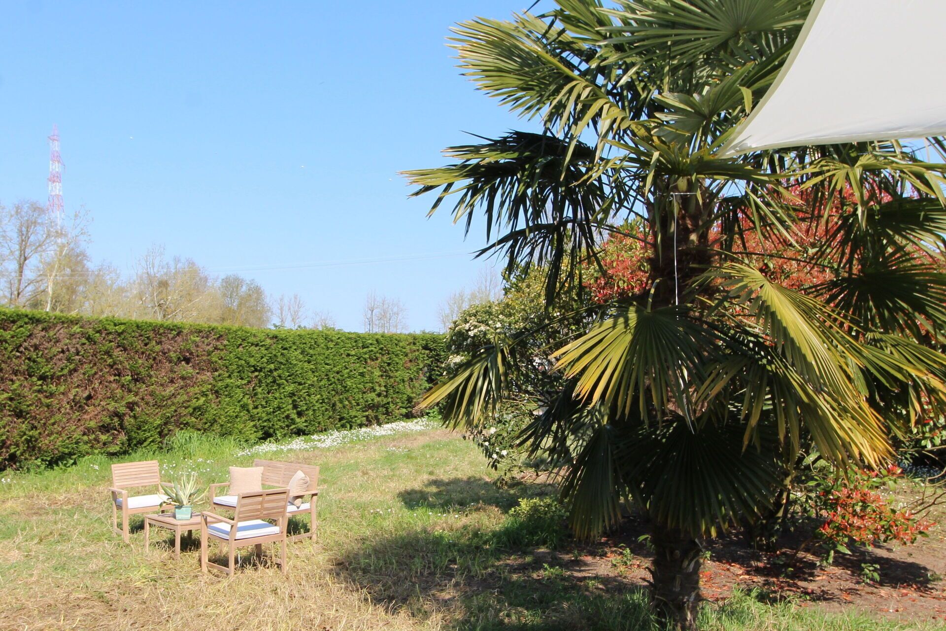 Autumn, Garden, Spring, Summer