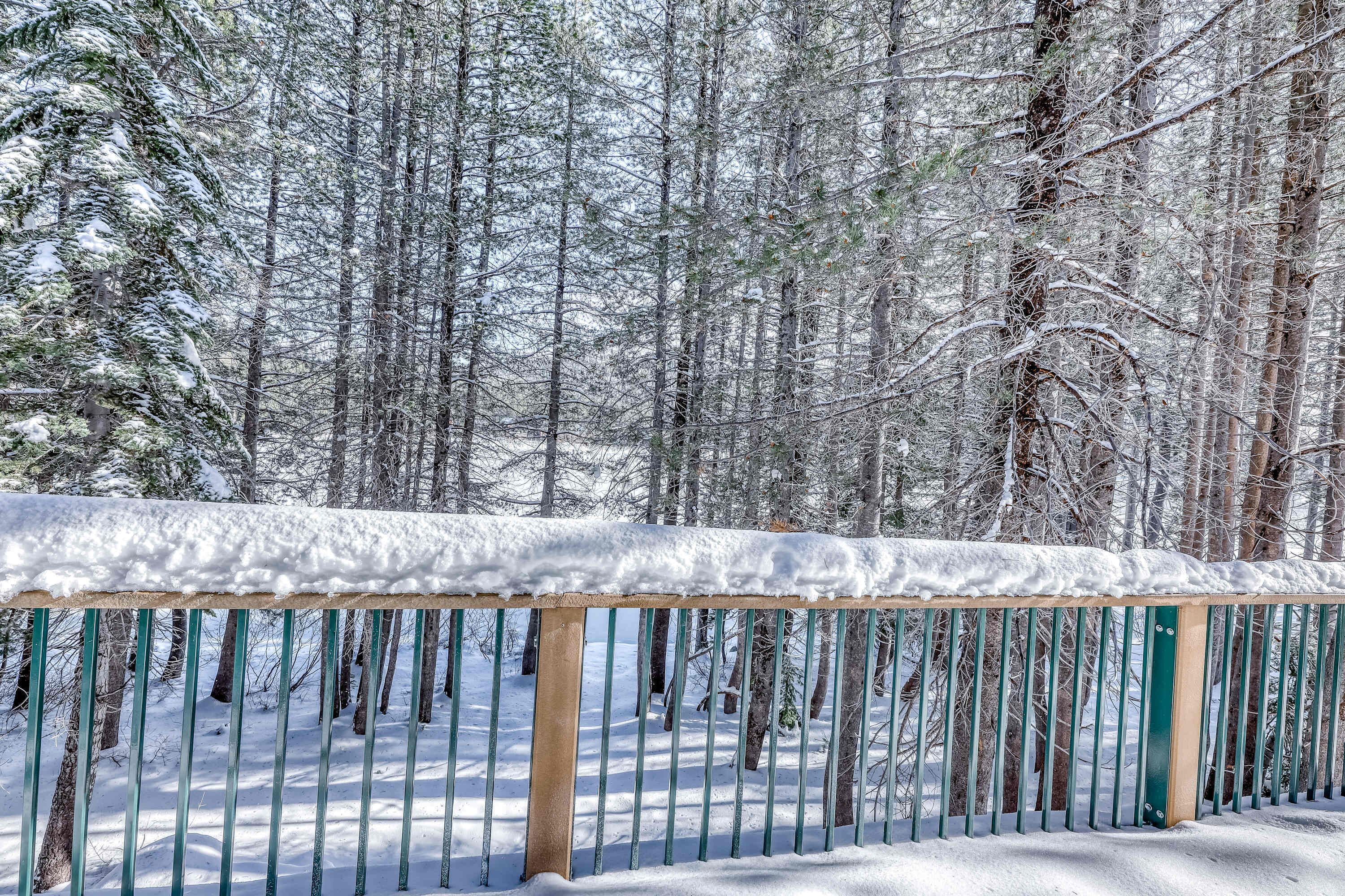Un bosque cubierto de nieve con una valla metálica.