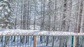 A snow-covered forest with a metal fence. - Three-story lakefront home with lake views, wood fireplace, high-speed WiFi, W&D (Soda Springs)