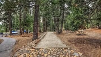 Terrain de l’hébergement