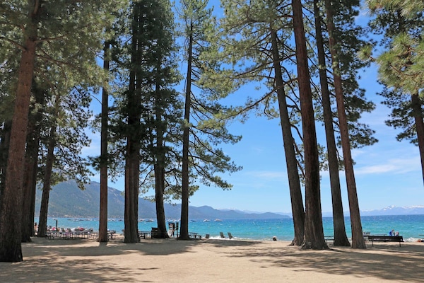 Nära stranden