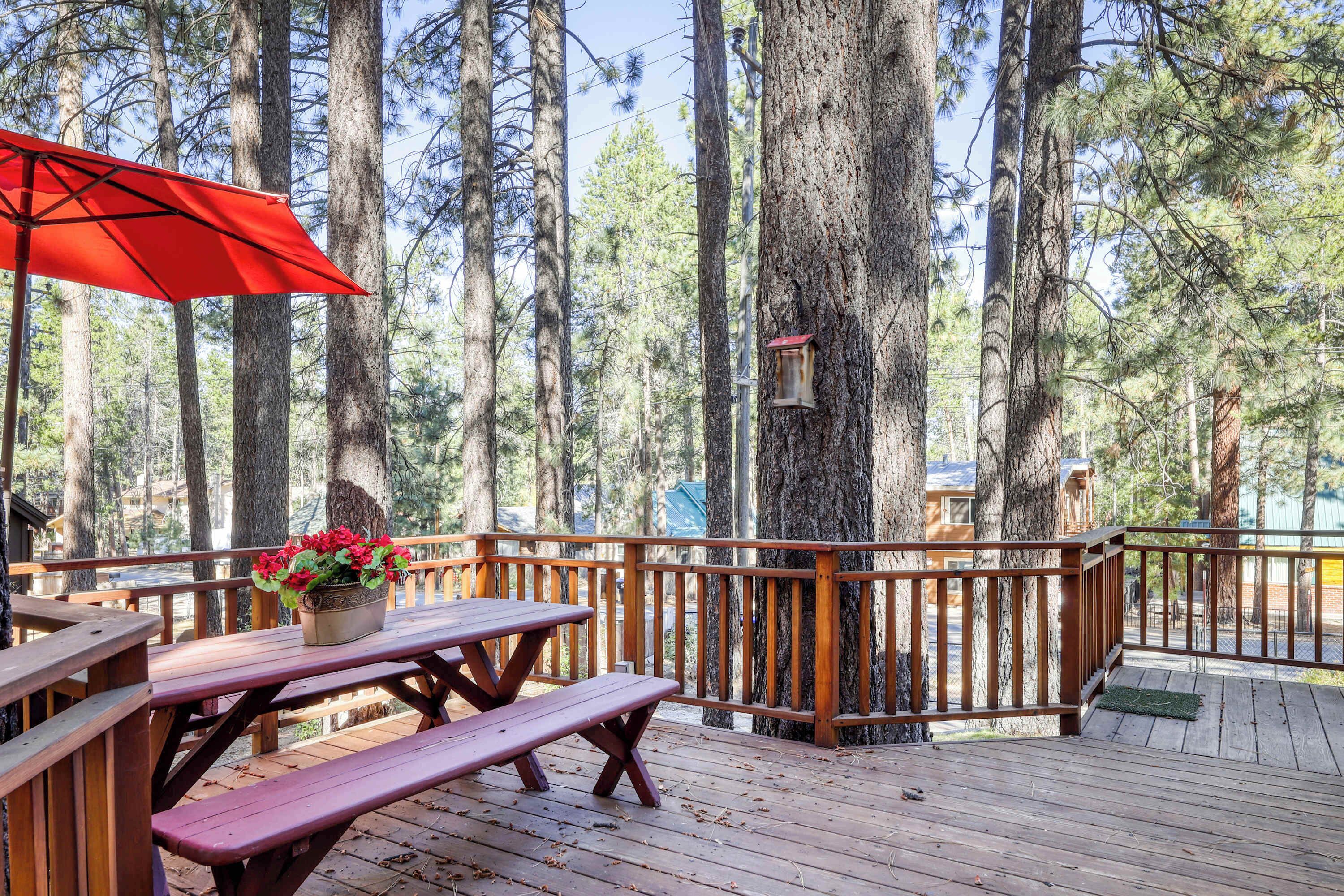 Terraza de madera con mesas de picnic y un paraguas rojo, rodeada de altos pinos.