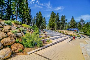 Property grounds - Charming Updated Rustic Cabin with Gas Fireplace, close to Lake and Ski Resort (South Lake Tahoe)