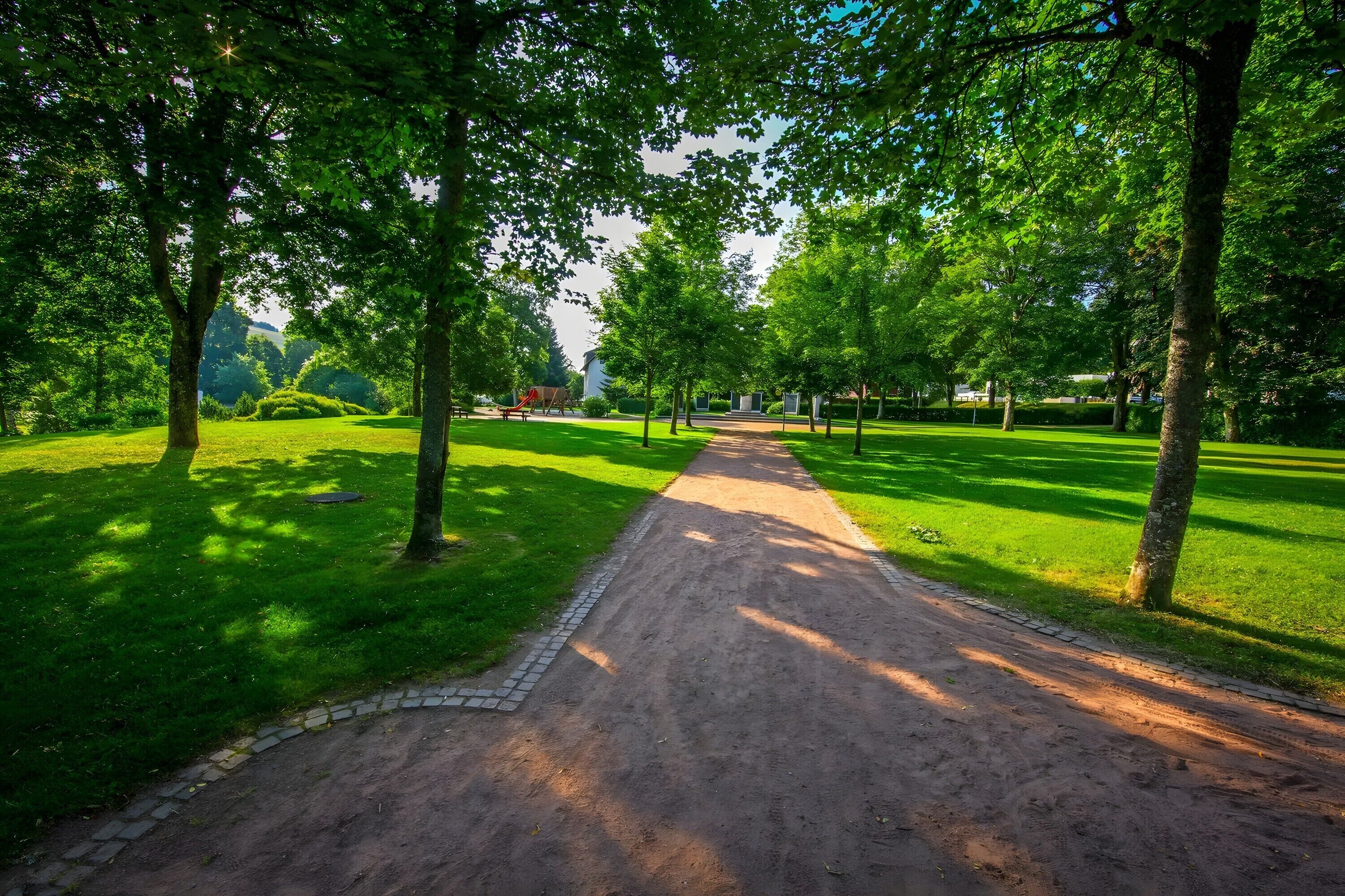Un sentier dans un parc, bordé d’arbres des deux côtés.