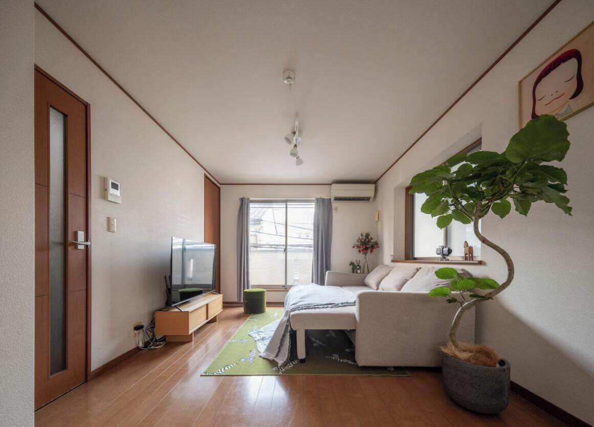 A modern living room with a sofa, a television, a potted plant, and a window.