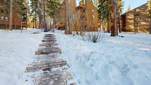 Un sendero cubierto de nieve que lleva a un edificio rodeado de altos árboles.