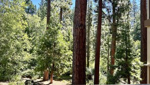 A view of a forested area with tall trees and a wooden deck.