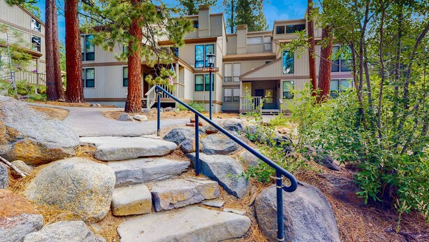 A building with a stone staircase, large windows, and a view of surrounding trees.