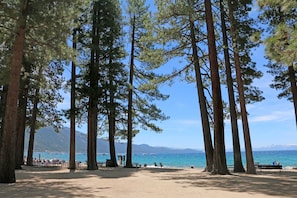 Ein Strand mit hohen Kiefern, einem Sandbereich mit Bänken und Blick auf das Meer und die Berge.