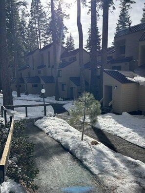 Un quartier résidentiel composé de plusieurs immeubles, avec un sol recouvert de neige et un petit arbre.