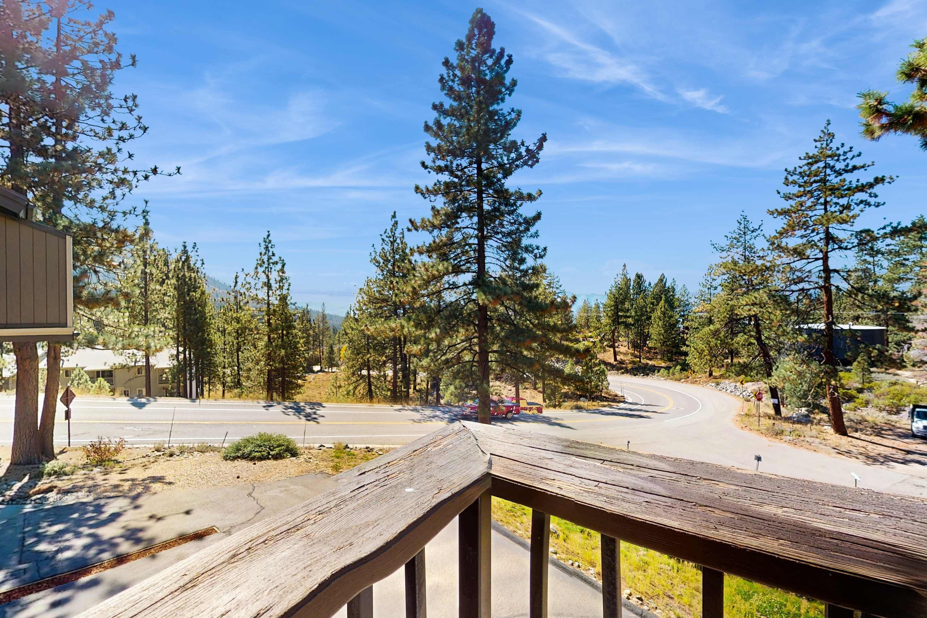A wooden deck overlooking a road with a curve, surrounded by tall pine trees and a clear sky.