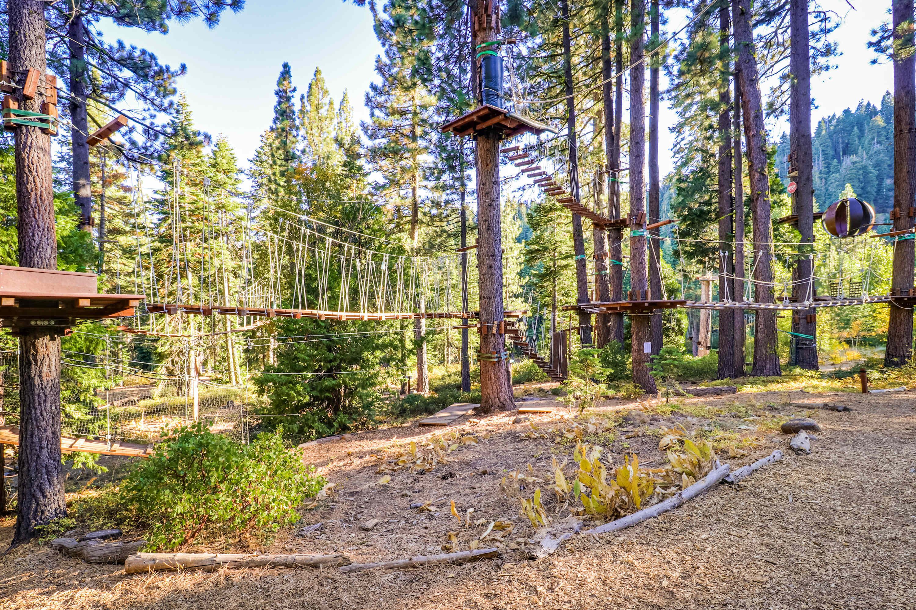 Terrain de l’hébergement 