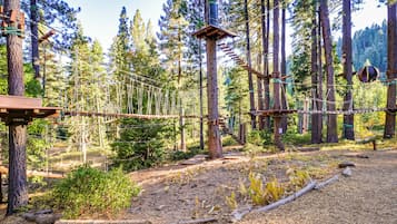 Terrain de l’hébergement