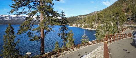 A paved walkway with a wooden railing, surrounded by pine trees and a lake with mountains in the background.