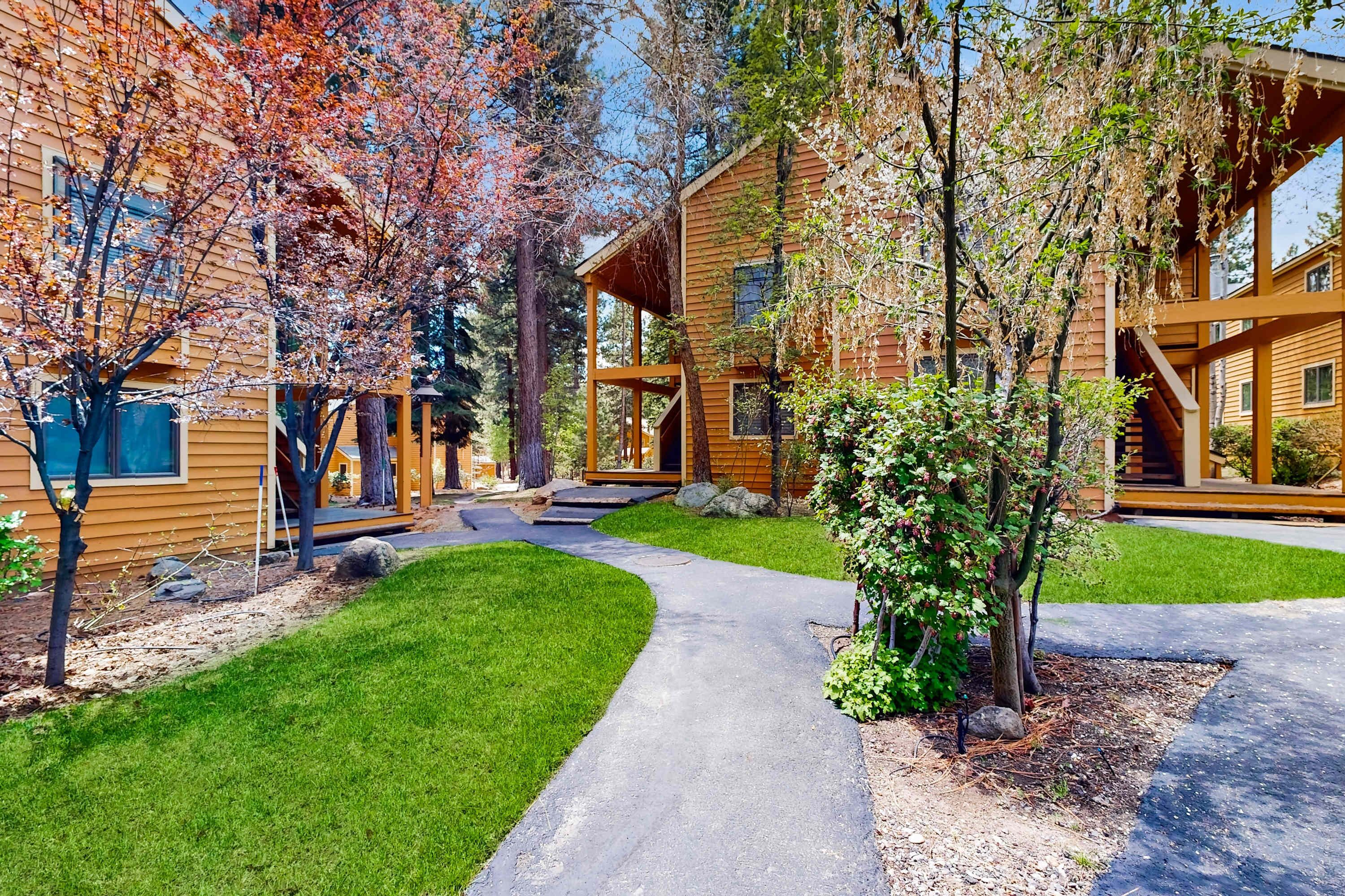 Terrain de l’hébergement 