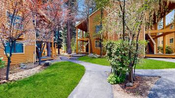 Terrain de l’hébergement