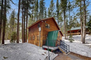 Exterior - Serene cabin -  cozy, dog-friendly retreat with modern amenities & rustic charm (Soda Springs)