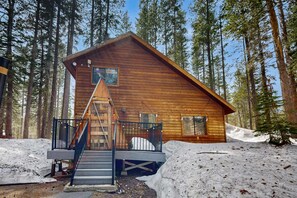 Exterior - Serene cabin -  cozy, dog-friendly retreat with modern amenities & rustic charm (Soda Springs)