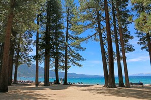 A beach with tall pine trees, a sandy area with benches, and a clear view of the sea and mountains in the background. - Dog-friendly mountain getaway near skiing & lake with water views & private balcony (Incline Village)
