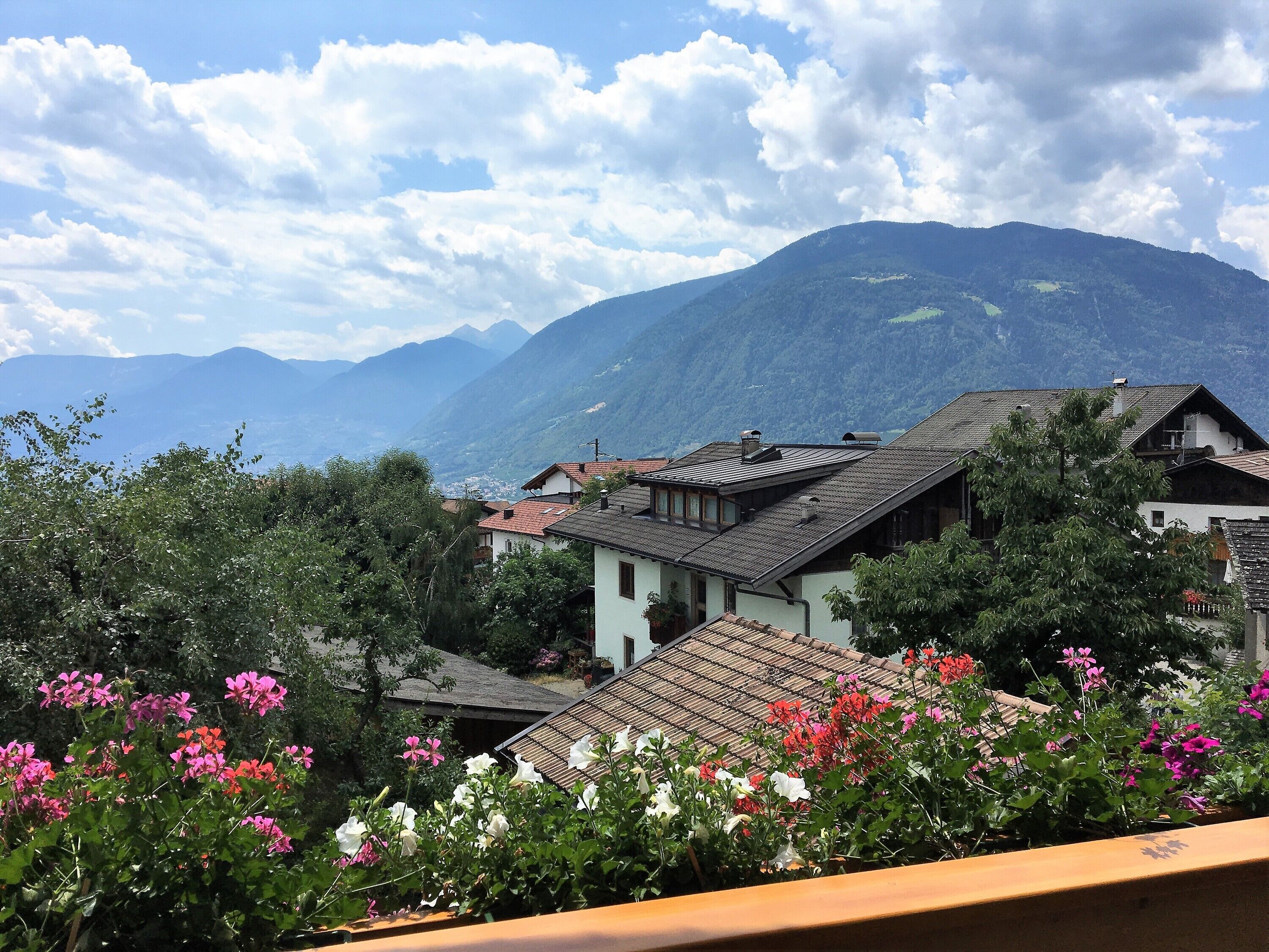 Vue depuis l’hébergement