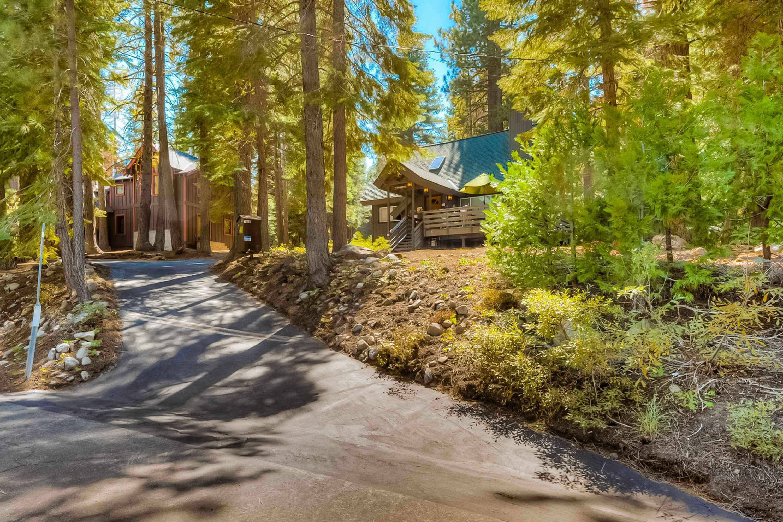 A cabin with a dirt path leading to it, surrounded by tall trees and a clear sky.