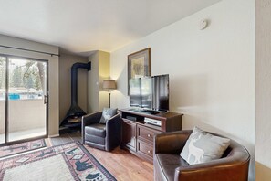TV, fireplace, DVD player, offices - First-Floor Studio w/Free WiFi, Shared Heated Pool, Seasonal Pool, Private Beach (South Lake Tahoe)