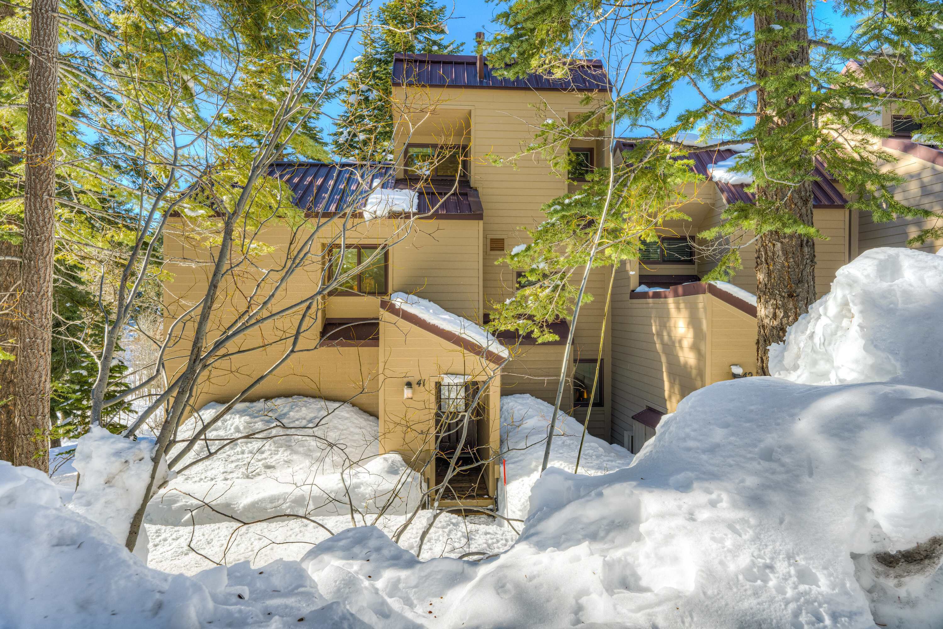 A multi-story building with a snow-covered entrance and surrounding trees.