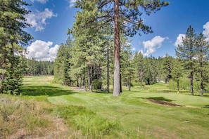 En golfbana med klar himmel, omgiven av höga tallar.