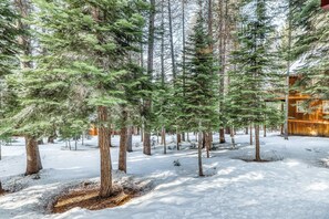 Property grounds - Updated home on quiet street with gas fireplace, shared hot tub, pool, & more (Truckee)