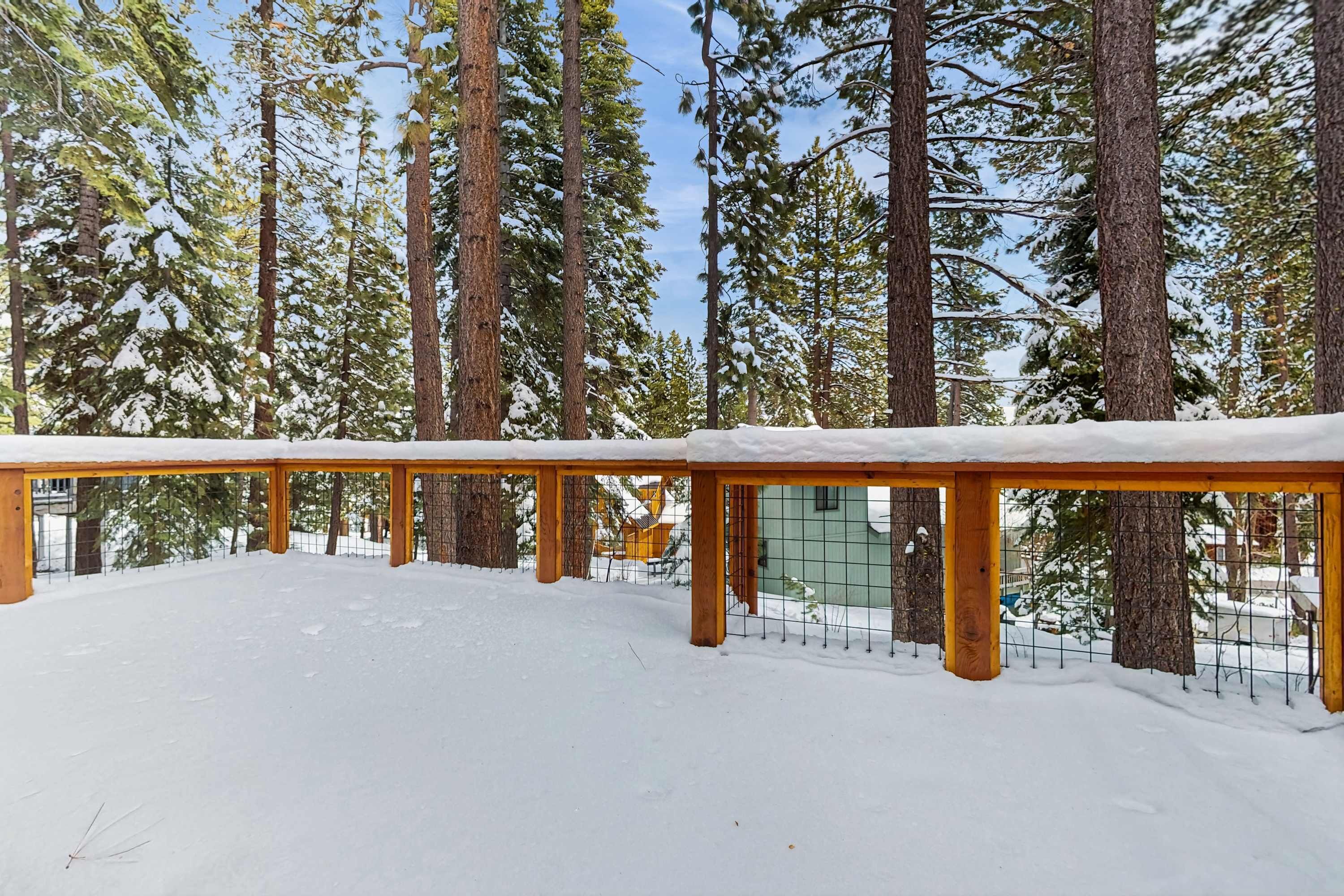 A snow-covered outdoor area with a wooden fence and tall trees.