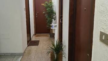 Basic Studio, Courtyard View | Interior