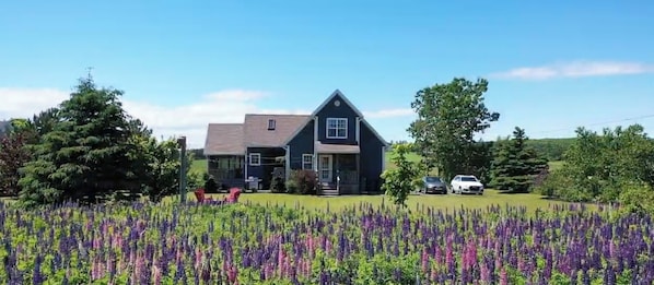 Exterior - Peaceful 4BR South Shore Escape – Steps to Beach (Rice Point)