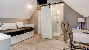 Une chambre avec un lit, un bureau, une chaise, une télévision et une douche.