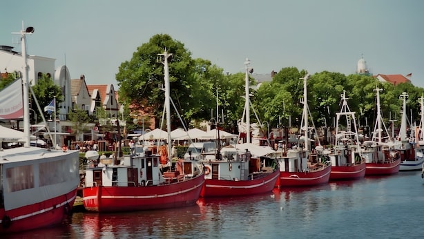 Uma marina com vários barcos atracados, rodeada por edifícios e árvores.