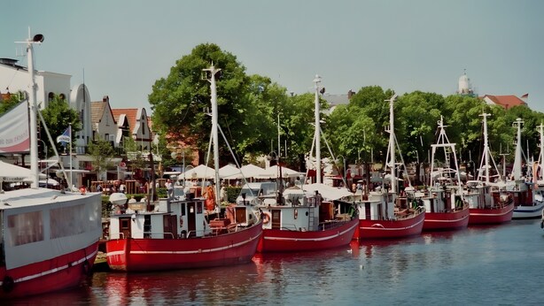 A marina with multiple boats docked, surrounded by buildings and trees.