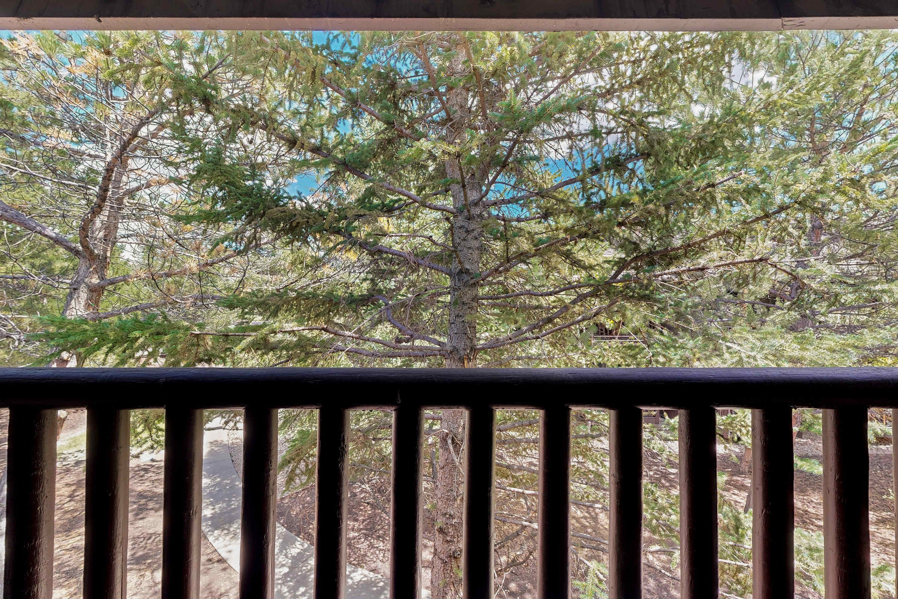 A view of a tree through a wooden railing.