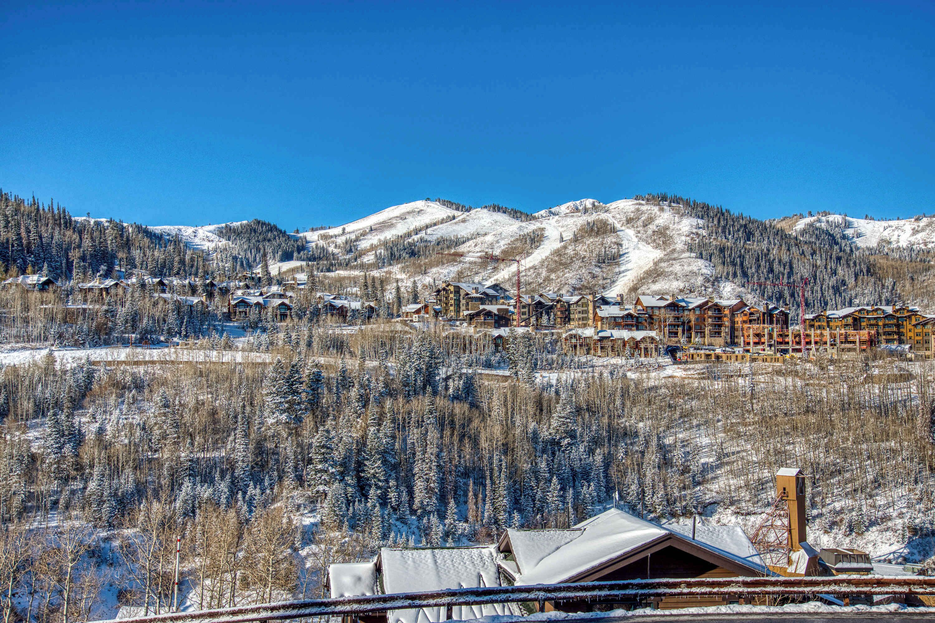 Una località montana con diversi edifici, alberi innevati e un cielo azzurro limpido.