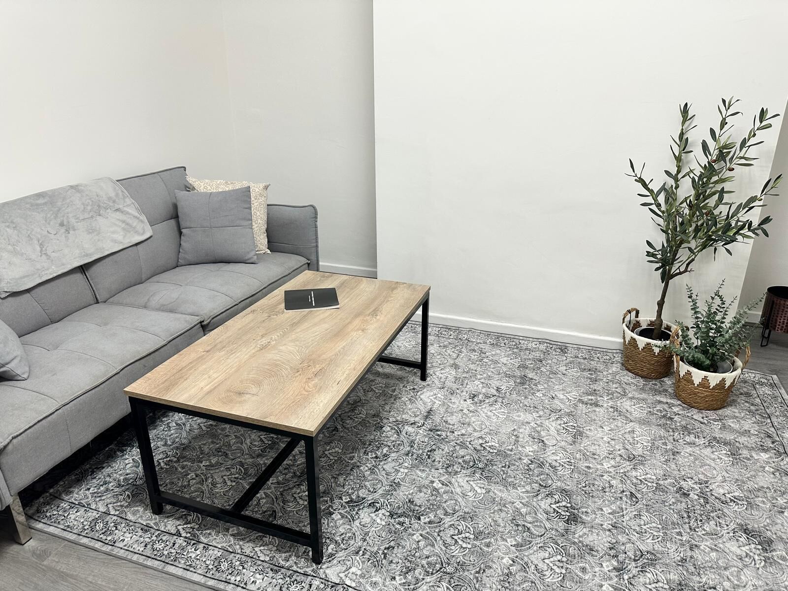 Una sala de estar moderna con un sofá gris, una mesa de centro de madera y dos plantas en macetas.
