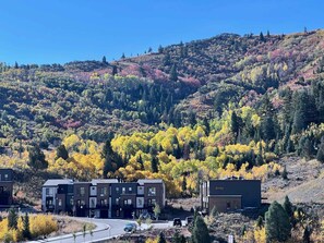 Exterior - Luxurious, dog-friendly home with  private hot tub, W&D, AC, WiFi, near slopes (Park City)