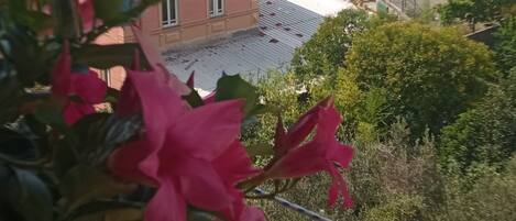 A balcony with a potted plant and a view of a coastal town with buildings and the sea.