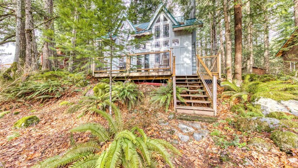 Une cabane entourée d’une forêt dense, avec un escalier en bois menant à une terrasse.