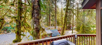 Dog-friendly cabin near beach with private hot tub, grill, patio, streaming, AC