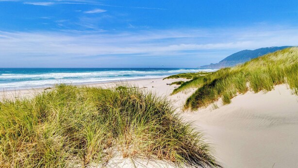 A beach with sand dunes and ocean waves. - Dog-friendly home & ocean views - near the beach (Manzanita)