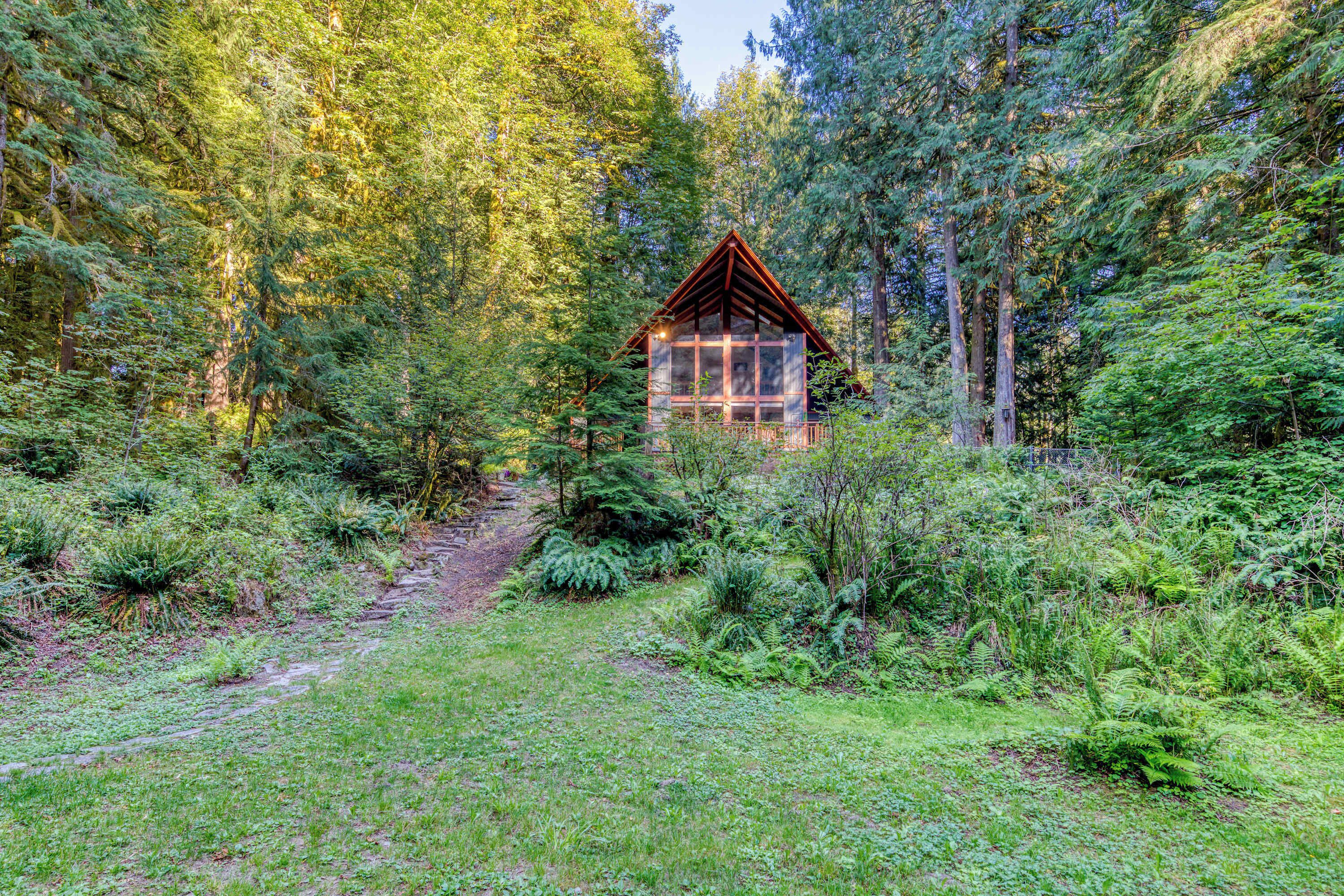 A cabin surrounded by dense forest with a visible path leading to it.