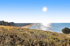 Beach nearby - Acreage with sauna, hot tub, firepit, separate studio - beach nearby & dogs OK (Long Beach)
