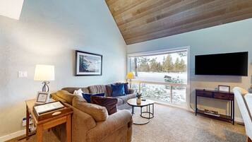 TV, fireplace, DVD player