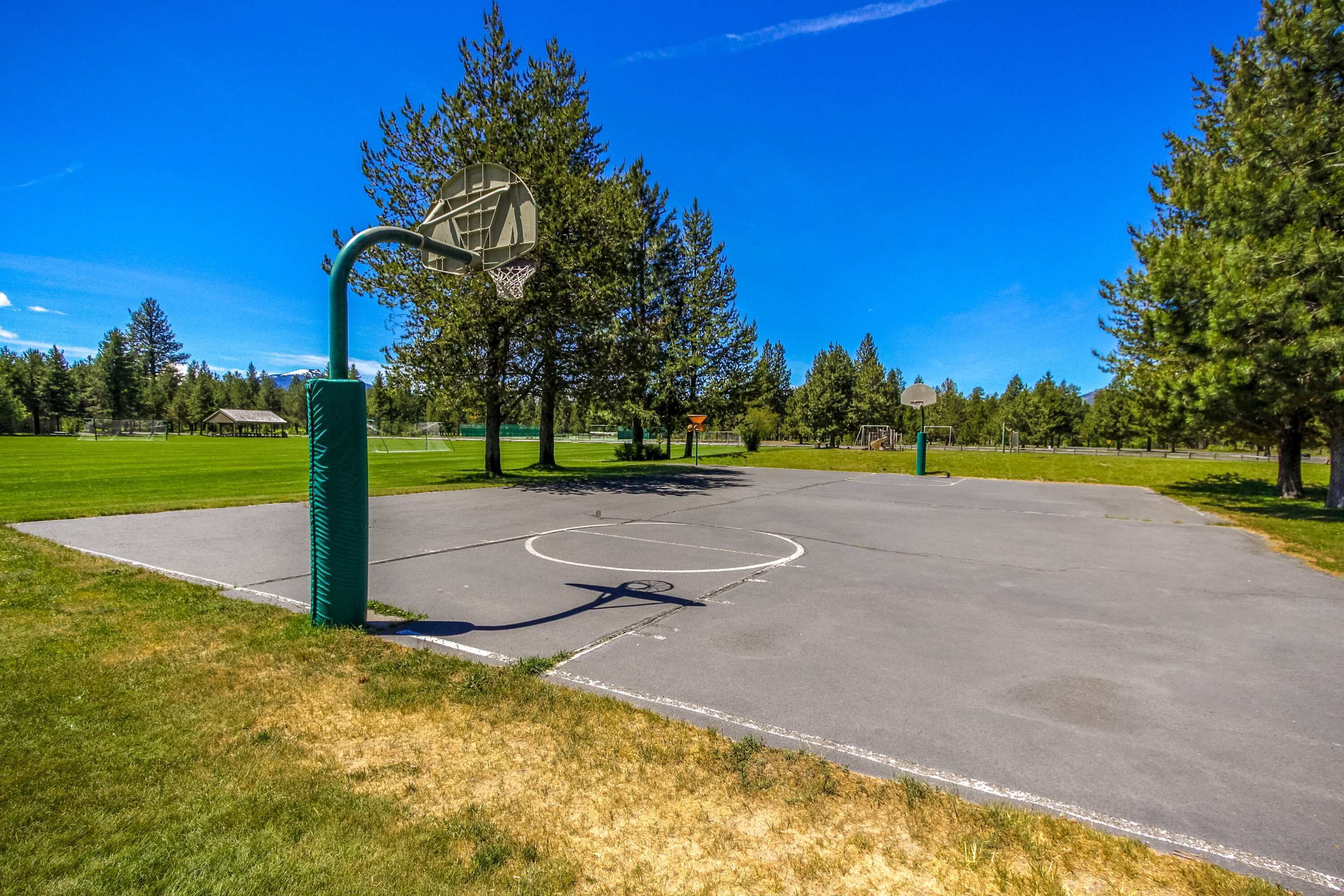 A basketball court with a hoop, surrounded by trees and a clear sky.